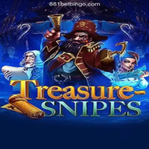 Discover the Thrilling World of TreasureSnipes